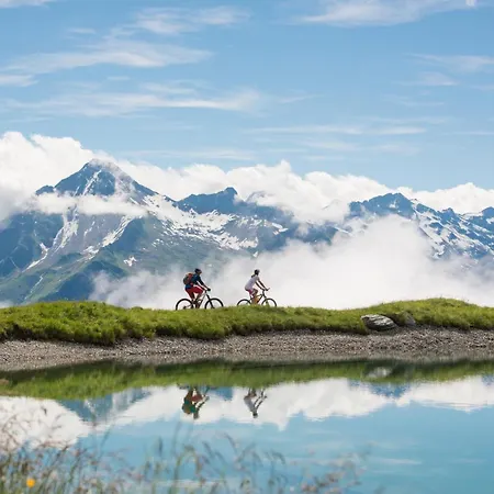 Apartamento Wegscheider *